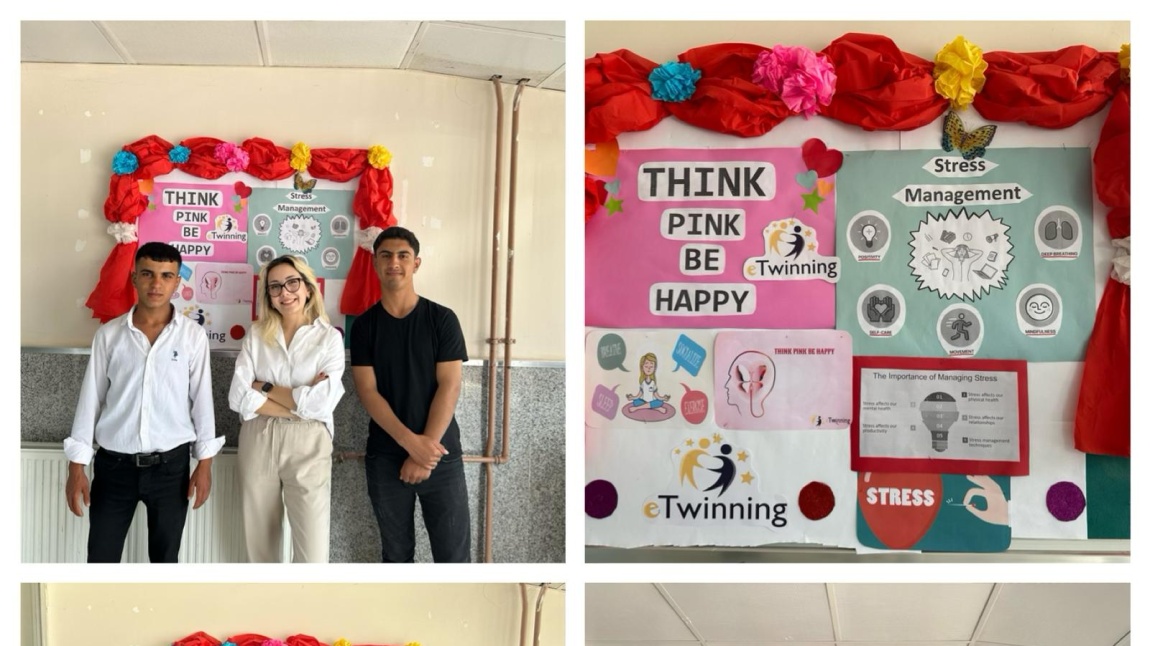 ‘Think Pink, Be Happy’ İsimli E-Twinning Projemiz